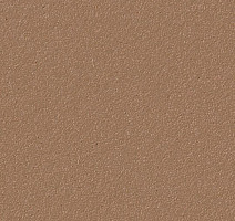 Линолеум Forbo Bulletin Board 2166 nutmeg spice фото 1 | FLOORDEALER
